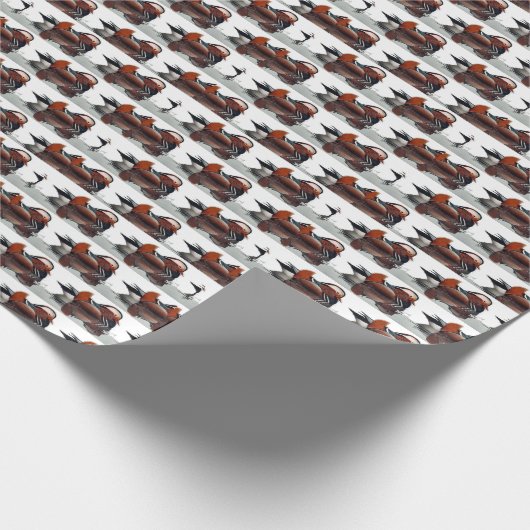 Wood Duck Thunder_Cove Cadeaupapier (Hoek)