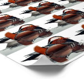 Wood Duck Thunder_Cove Poster (Hoek)