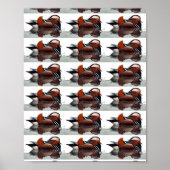 Wood Duck Thunder_Cove Poster (Voorkant)