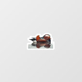 Wood Duck Thunder_Cove Raamsticker (Vel)