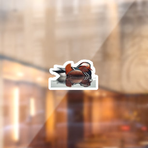 Wood Duck Thunder_Cove  Raamsticker