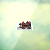 Wood Duck Thunder_Cove Raamsticker (Vel 3)