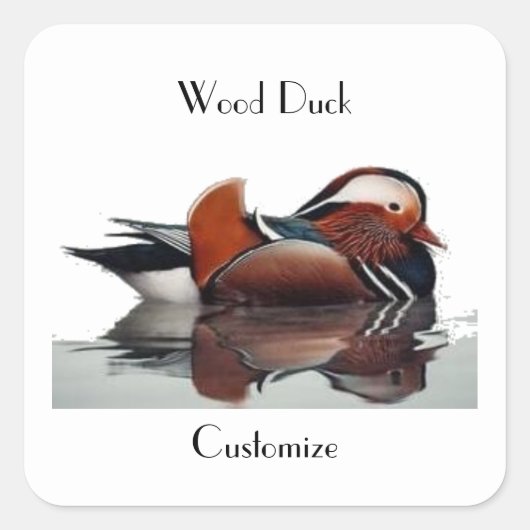 Wood Duck Thunder_Cove Vierkante Sticker (Voorkant)