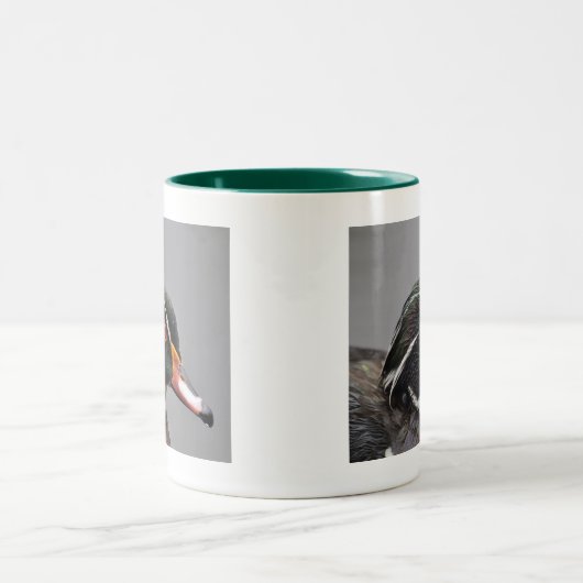 Wood Duck Two-Tone Mok Green (Center)