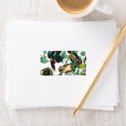 Wood Duck van John James Audubon Etiket (Insitu)