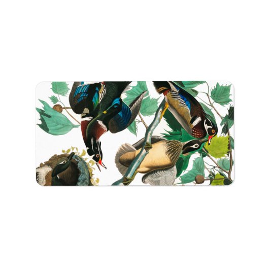 Wood Duck van John James Audubon Etiket (Voorkant)