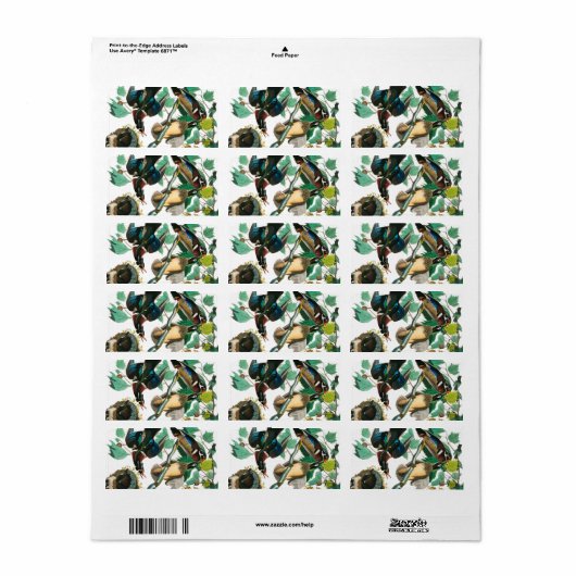 Wood Duck van John James Audubon Etiket (Full Sheet)