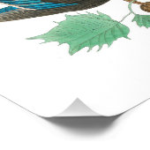 Wood Duck van John James Audubon Foto Afdruk (Hoek)