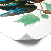 Wood Duck van John James Audubon Poster (Hoek)