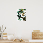 Wood Duck van John James Audubon Poster (Keuken)