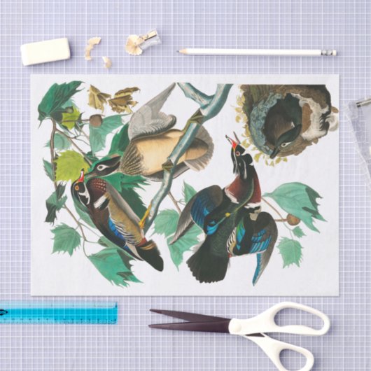 Wood Duck van John James Audubon Tissuepapier (Craft)