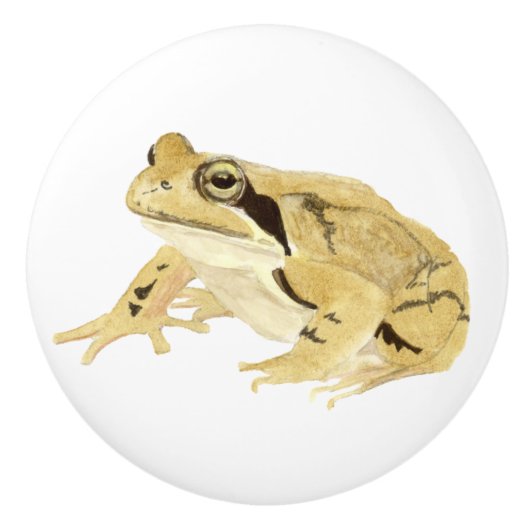 Wood Frog Keramische Knop (Voorkant)