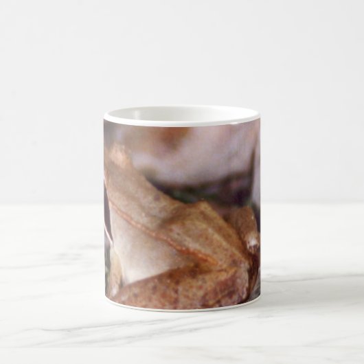 Wood Frog Koffiemok (Center)