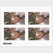 Wood Frog Rechthoekige Sticker (Vel)