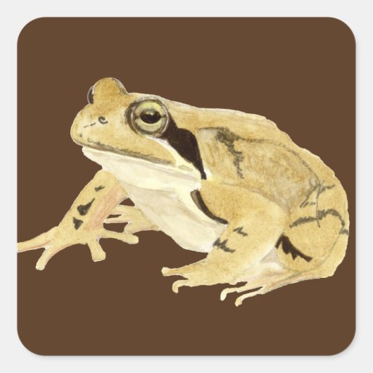 Wood Frog Vierkante Sticker (Voorkant)