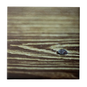Wood Grain Textuur van Shirley Taylor Tegeltje