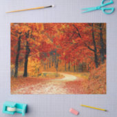 wood herfst trail tissue paper tissuepapier (Craft)
