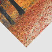 wood herfst trail tissue paper tissuepapier (Detail)