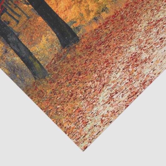 wood herfst trail tissue paper tissuepapier (Detail)