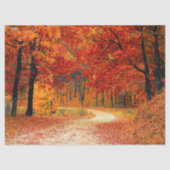 wood herfst trail tissue paper tissuepapier (Voorkant)