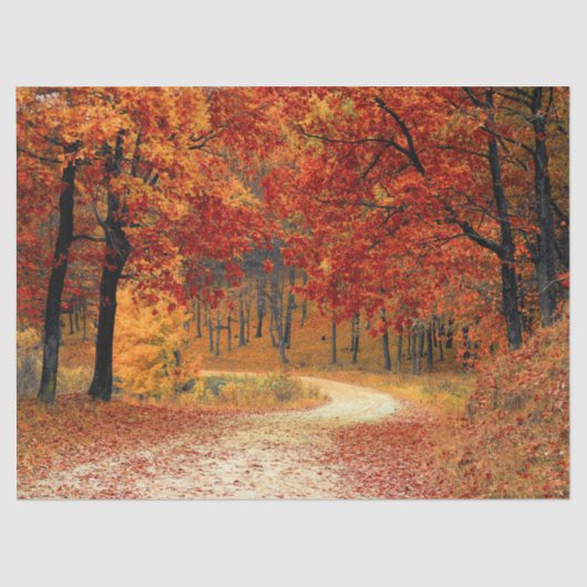 wood herfst trail tissue paper tissuepapier (Voorkant)