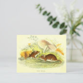  Wood-Mouse Illustratie Briefkaart (Staand voorkant)