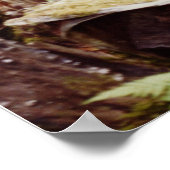 Wood Nymph Poster (Hoek)