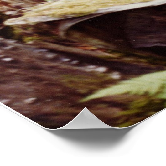 Wood Nymph Poster (Hoek)