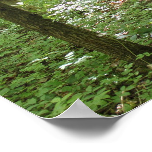 Wood Nymph Poster (Hoek)