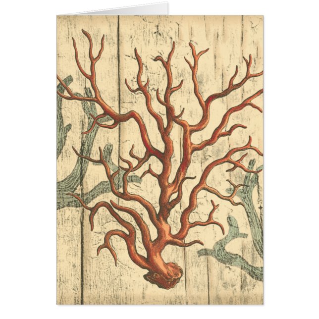 Wood & Small Coral (Voorkant)