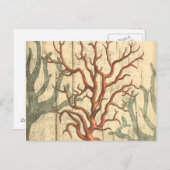 Wood & Small Coral Briefkaart (Voorkant / Achterkant)