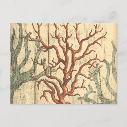 Wood & Small Coral Briefkaart (Voorkant)