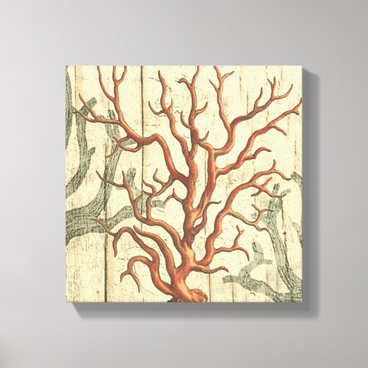 Wood & Small Coral Canvas Afdruk (Voorkant)
