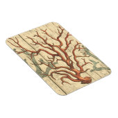 Wood & Small Coral Magneet (Rechterzijde)