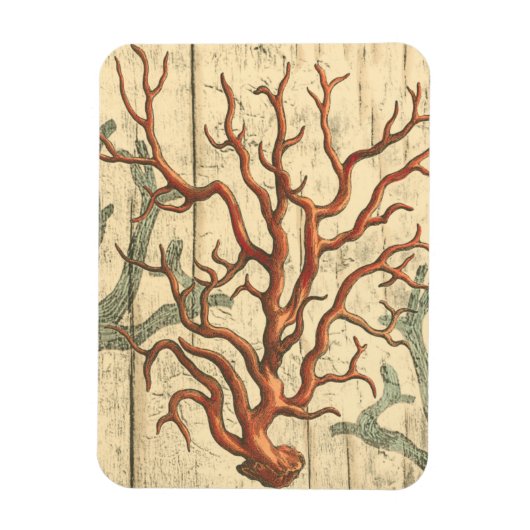 Wood & Small Coral Magneet (Verticaal)