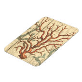 Wood & Small Coral Magneet (Linkerzijde)