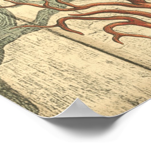 Wood & Small Coral Poster (Hoek)