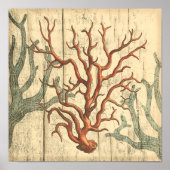 Wood & Small Coral Poster (Voorkant)