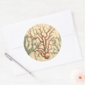 Wood & Small Coral Ronde Sticker (Envelop)