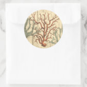 Wood & Small Coral Ronde Sticker (Tas)