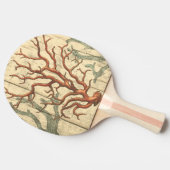 Wood & Small Coral Tafeltennisbatje (Zijkant)