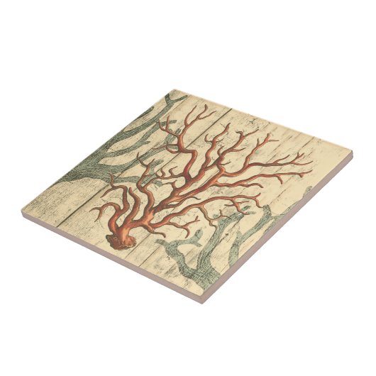 Wood & Small Coral Tegeltje (Zijkant)