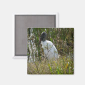 Wood Stork Bird Wetlands Florida Foto Magneet (Voorkant / Achterkant)
