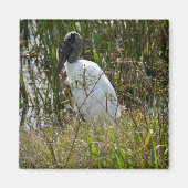 Wood Stork Bird Wetlands Florida Foto Magneet (Voorkant)