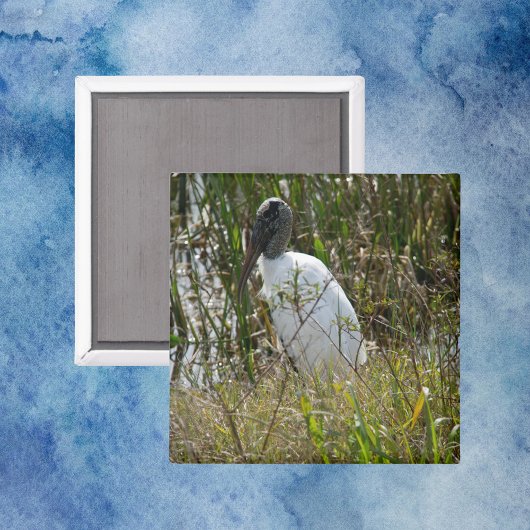 Wood Stork Bird Wetlands Florida Foto Magneet