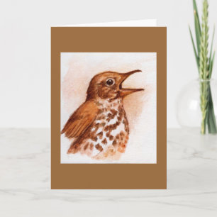 Wood Thrush - Bird Note Kaart