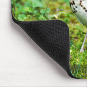 Wood Thrush Mousepad Muismat (Hoek)