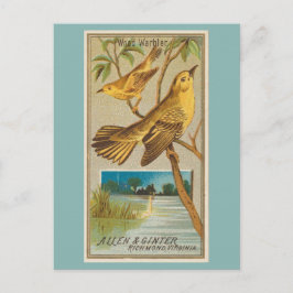 Wood Warbler Briefkaart