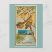 Wood Warbler Briefkaart (Voorkant)