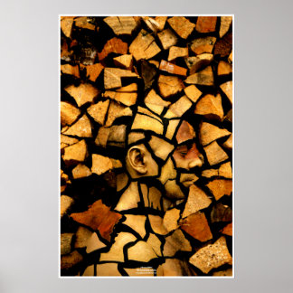 Woodblock van Johannes Stötter Poster